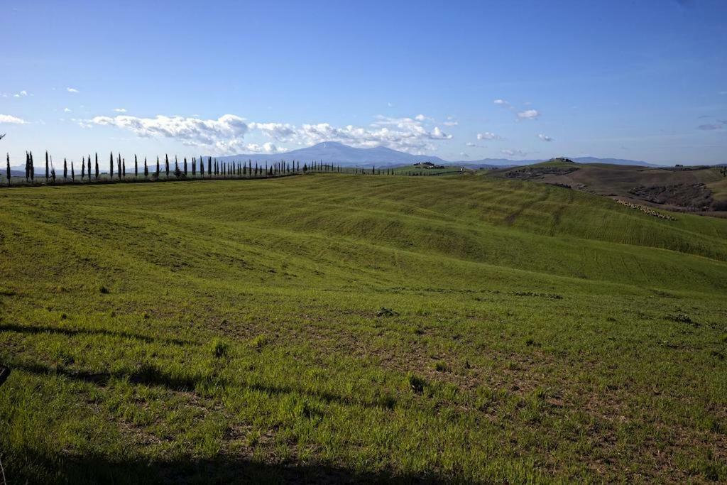 La Locanda Di Montisi B&B 特雷宽达 外观 照片